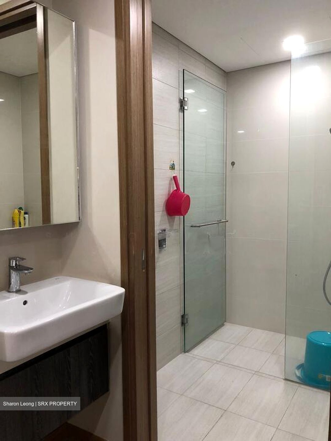 Lakeville (D22), Condominium #501952351